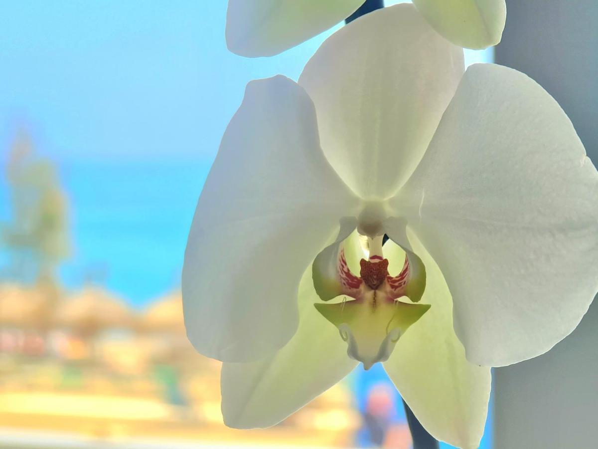 1º Linea De Playa En Pleno Centro De Fuengirola Apartment Ngoại thất bức ảnh